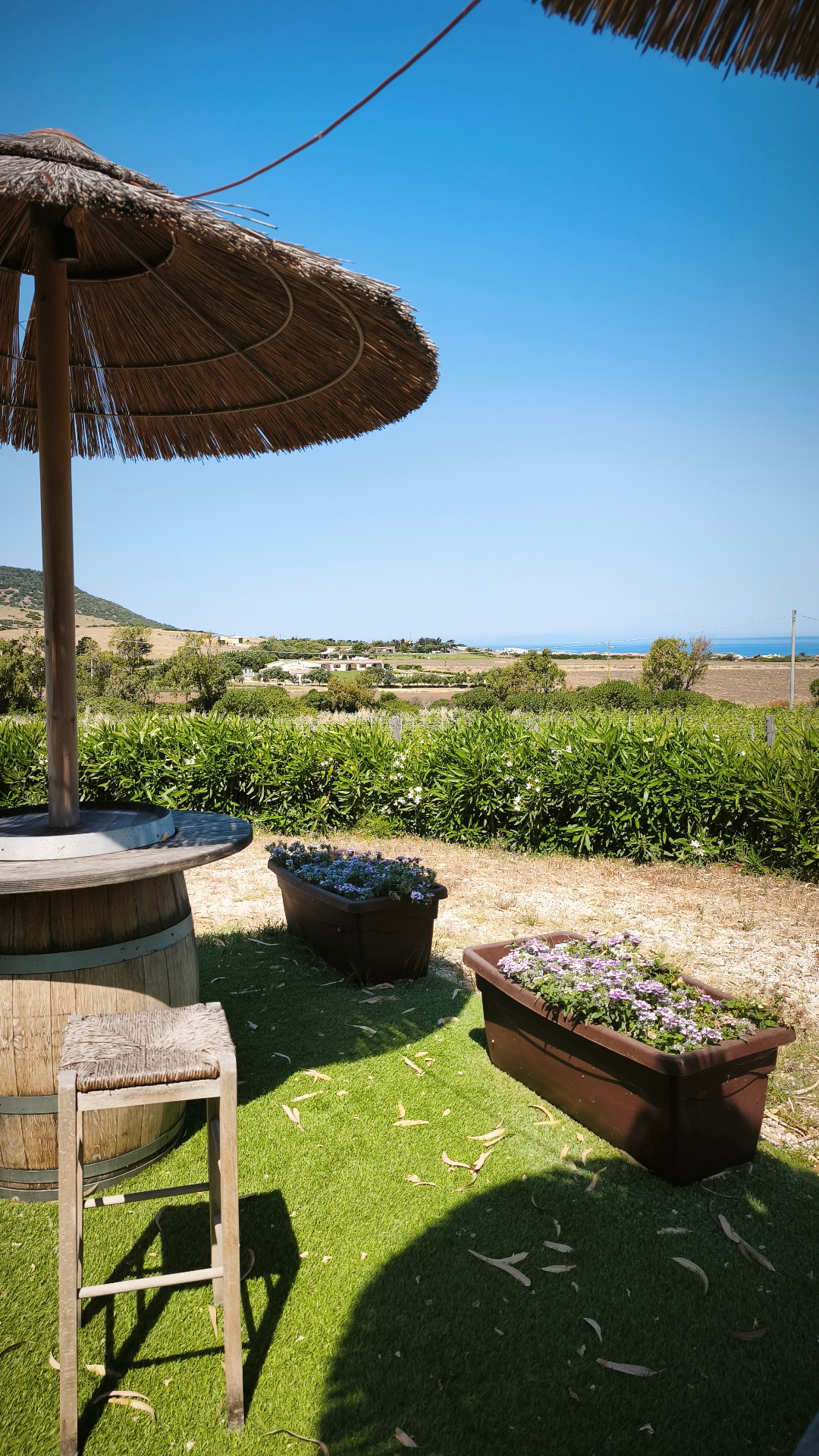 Vineyard bar