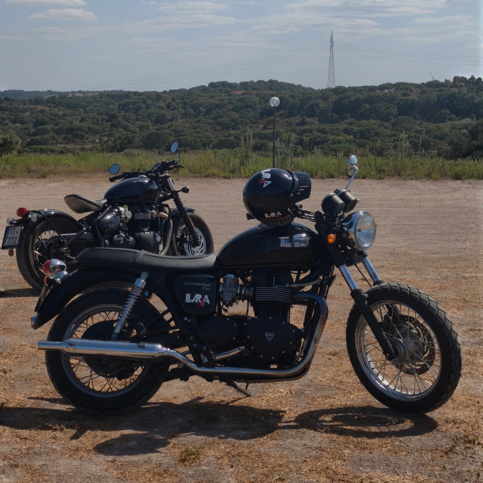 Triumph T100