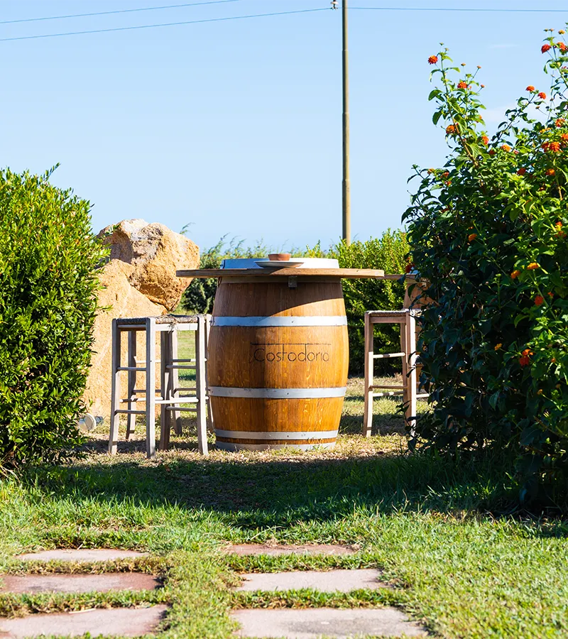 Tenute Costadoria vineyard